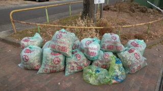 1月の定期清掃を行いました