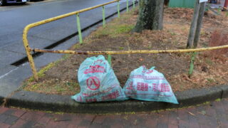 2月の定期清掃を行いました