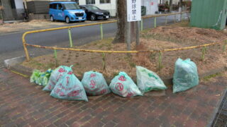 3月の定期清掃を行いました