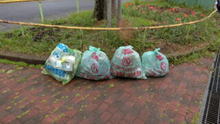 4月の定期清掃を行いました。