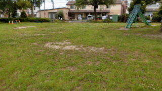 明日、６月の公園清掃を行います。