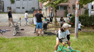 フレンチマリーゴールドの苗を植えました