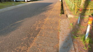 明日7月６日(日)に定期清掃を行います