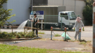 ９月の定期清掃をしました