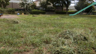 秋の公園セルフ除草