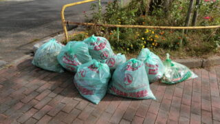 11月の定期清掃を行いました。