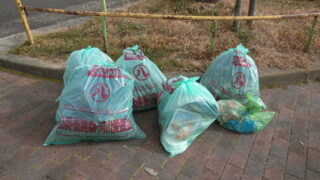 2月の定期清掃を行いました